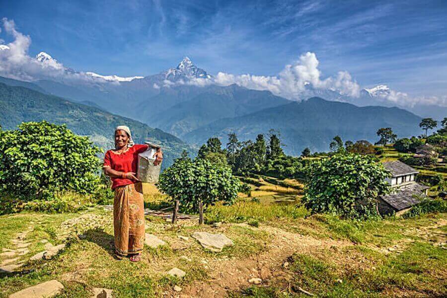 On trouve le Shilajit dans les montagnes de l'Himalaya