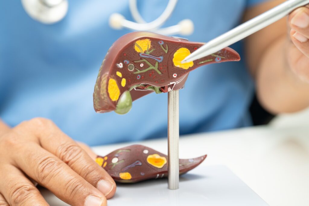 Un médecin faisant un analyse de foie