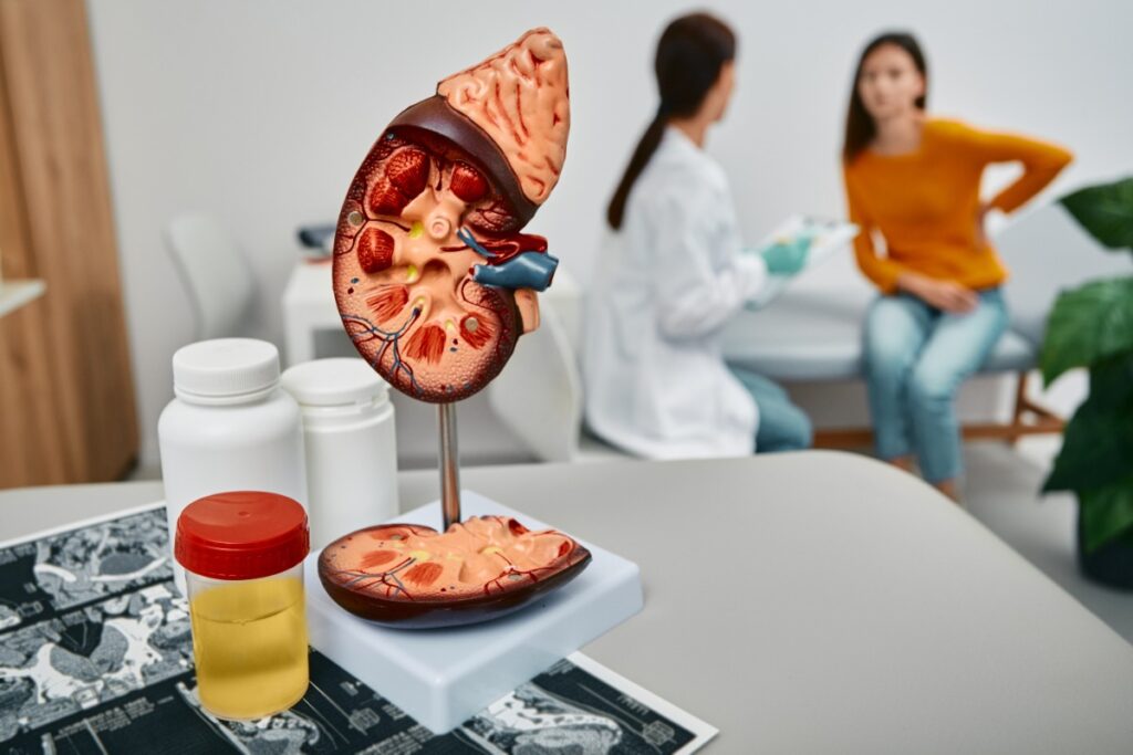 Un médecin qui fait une consultation de foie pour une patiente