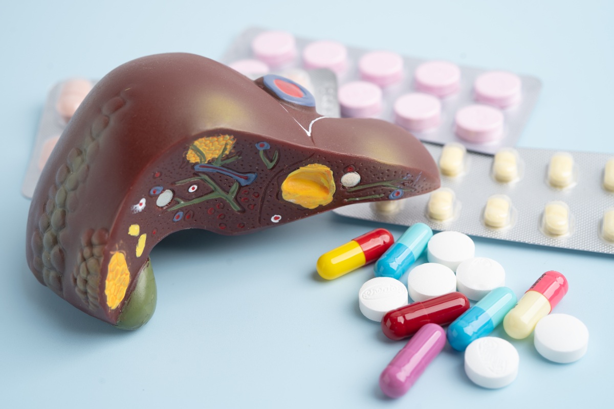 Un modèle de foie avec des médicaments
