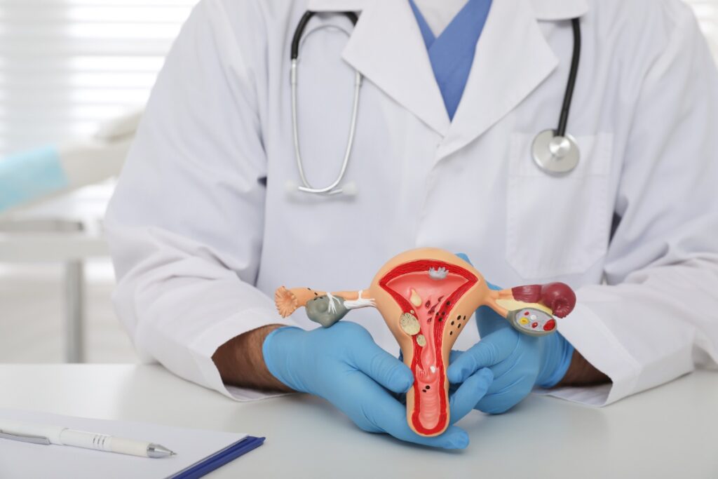 Un gynécologue assis dans son bureau avec un modèle d'anatomie de l'utérus