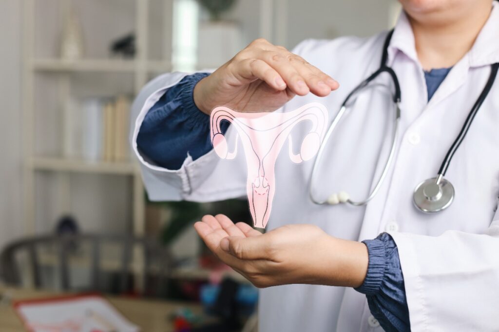 Un médecin qui présente un schéma de l'utérus 