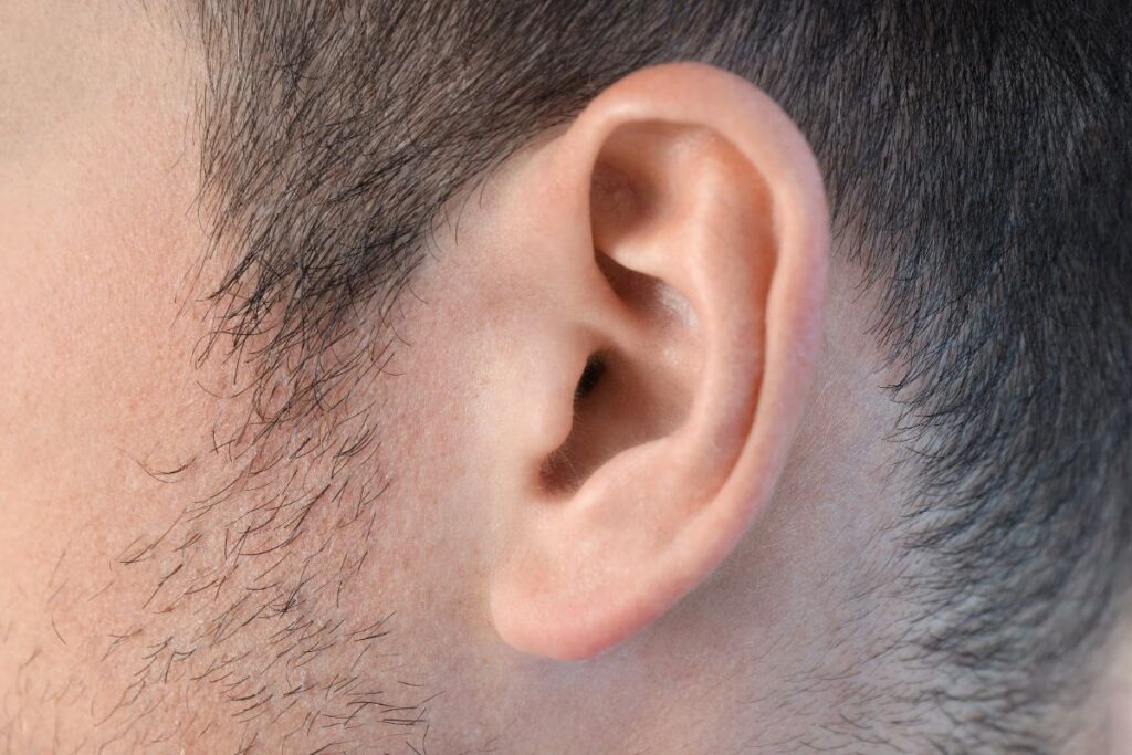 Oreille d'un jeune homme