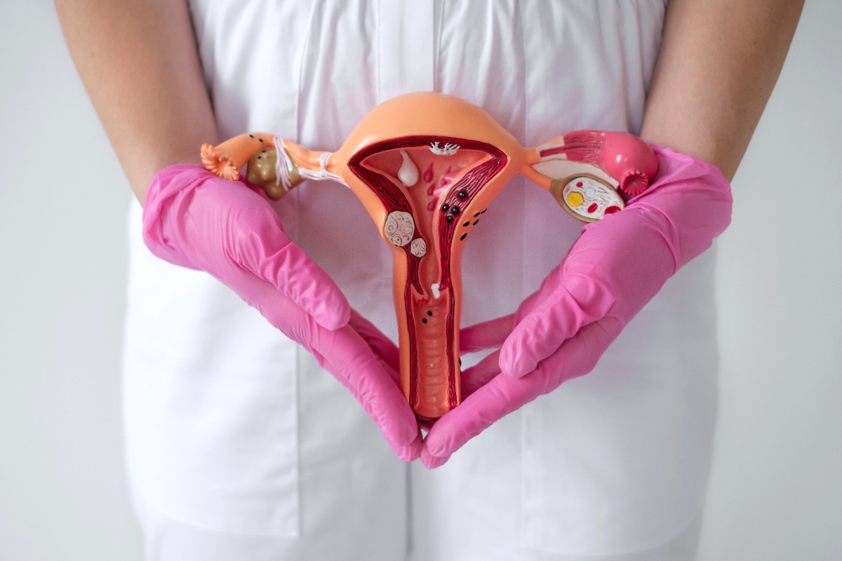Un professionnel de santé tenant un organe reproductif féminin