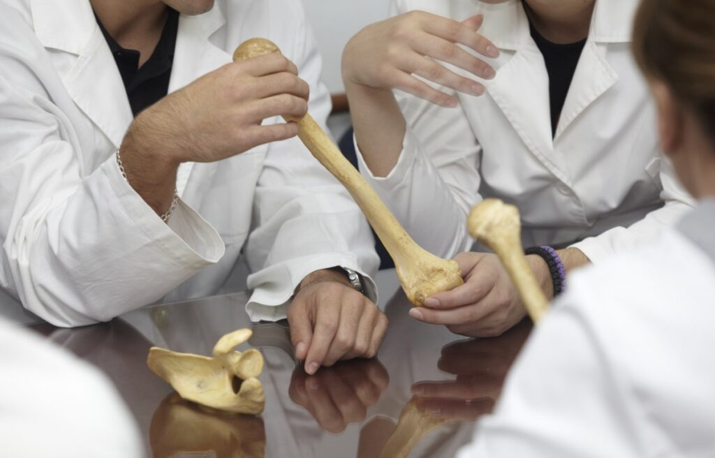 Des professionnels de santé faisant un analyse des os