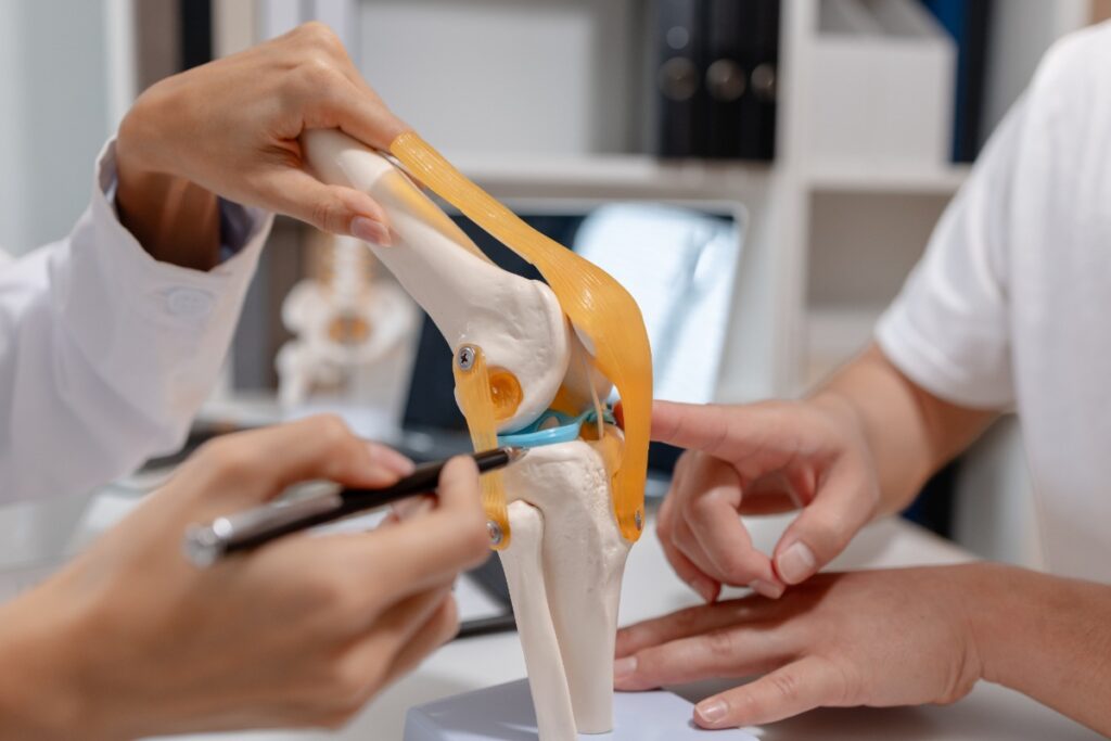 Un professionnel de santé qui explique l'anatomie du genou à un patient